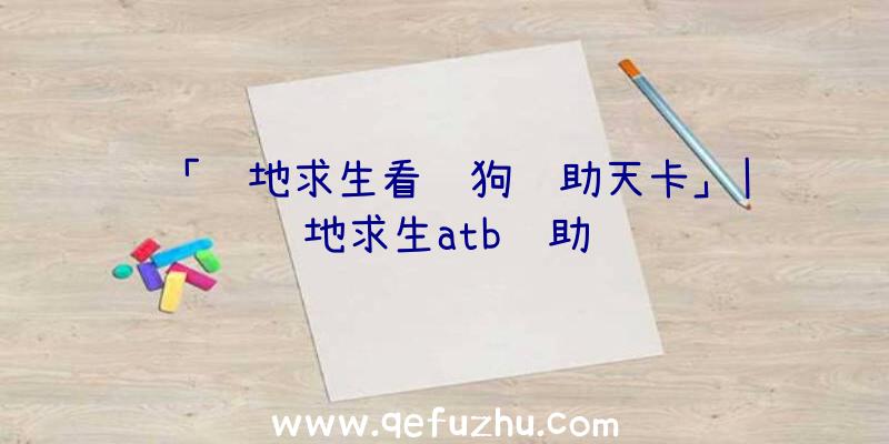 「绝地求生看门狗辅助天卡」|绝地求生atb辅助